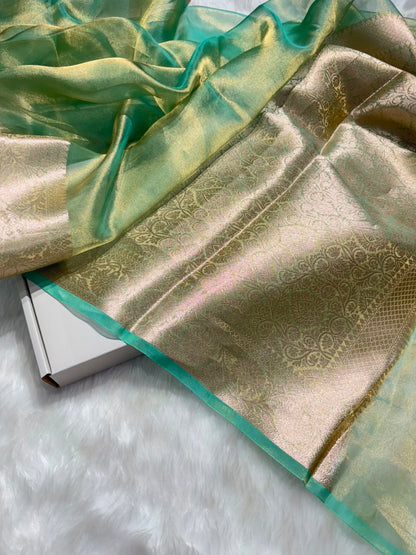 Seafoam Green Pure Tissue Silk Saree with Brocade Blouse