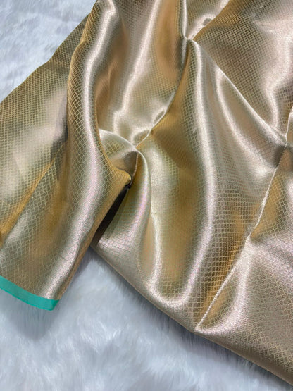 Seafoam Green Pure Tissue Silk Saree with Brocade Blouse