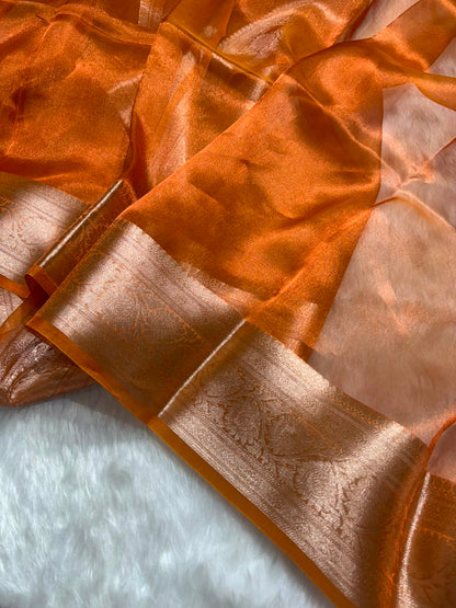 Orange Pure Tissue Silk Saree with Brocade Blouse
